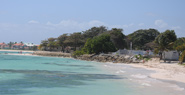 Petite plage près des raisins clairs